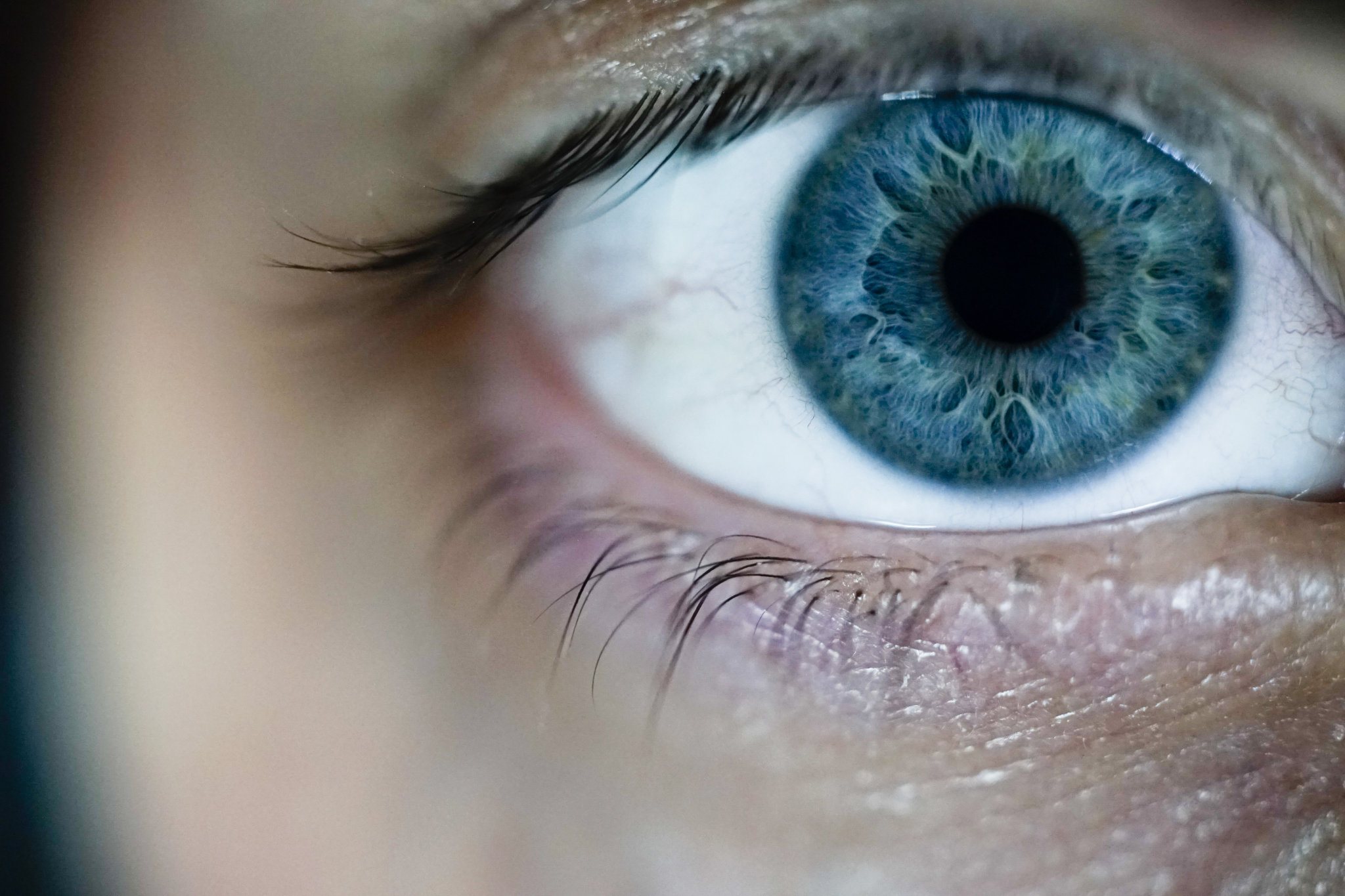 Eye See You